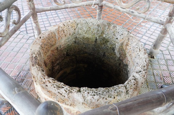 Hào khí nhà Tây Sơn vọng về từ ký ức: Cây me, giếng nước kể chuyện xưa