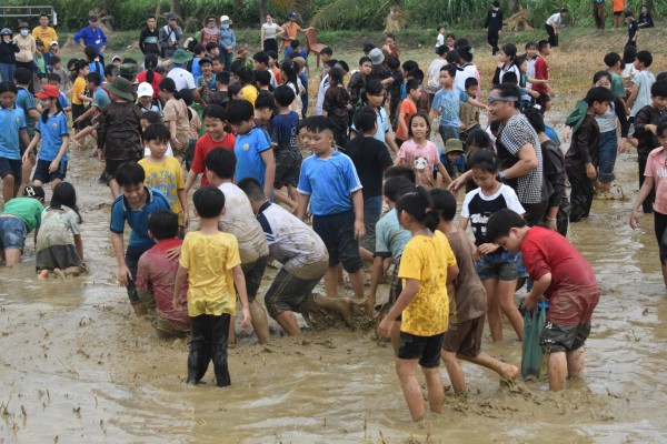 Kể chuyện dòng sông xứ Quảng: Sông Thoa - con sông đào dài nhất tỉnh Quảng Ngãi Kể chuyện dòng sông xứ Quảng: Sông Thoa - con sông đào dài nhất tỉnh Quảng Ngãi