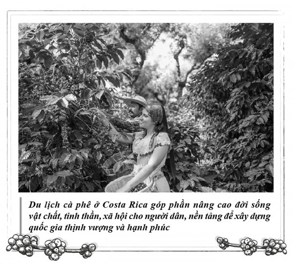 Kỳ 115: Cà phê, nền tảng phát triển toàn diện của Costa Rica