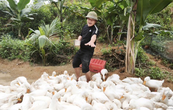 Làm du lịch từ những điều khác biệt: 