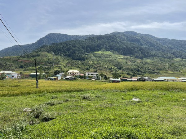 Linh thiêng tục treo đầu trâu ở nhà rông