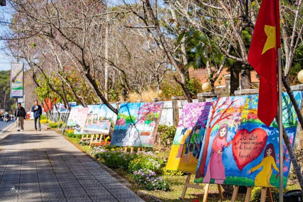 Mai anh đào nở rộ, 