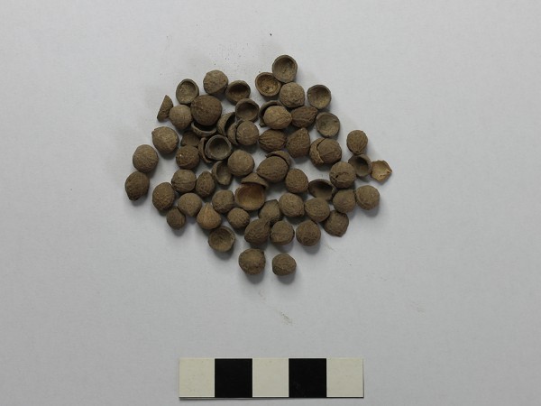 Mái đá Ngườm - nơi sử dụng lửa và chế tác công cụ đá sớm nhất Đông Nam Á