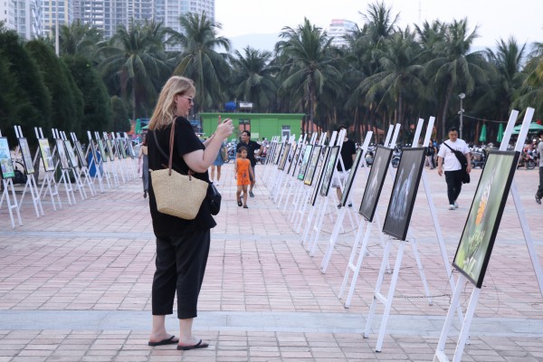 Ngắm diều nghệ thuật "bơi" trên biển trời Đà Nẵng Ngắm diều nghệ thuật "bơi" trên biển trời Đà Nẵng