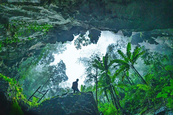 Ngành văn hóa thi đua yêu nước