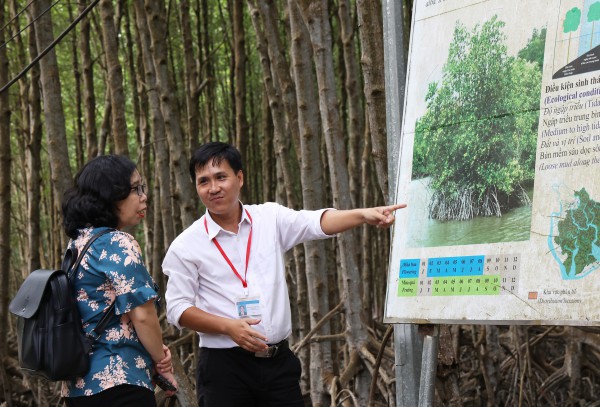 Người ‘nói chuyện’ với rừng ngập mặn Cần Giờ Người ‘nói chuyện’ với rừng ngập mặn Cần Giờ