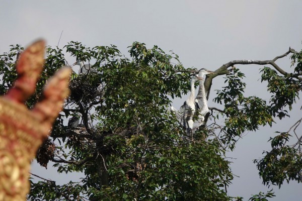 Những ngôi chùa độc đáo ở miền Tây: Nơi Những ngôi chùa độc đáo ở miền Tây: Nơi
