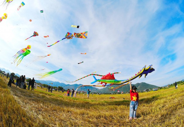Những ngọn lửa hồng nơi thành cổ