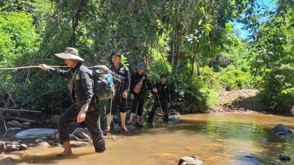 Những người âm thầm gìn giữ sinh cảnh voi giữa đại ngàn Những người âm thầm gìn giữ sinh cảnh voi giữa đại ngàn