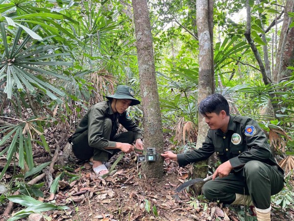 Những người âm thầm gìn giữ sinh cảnh voi giữa đại ngàn Những người âm thầm gìn giữ sinh cảnh voi giữa đại ngàn