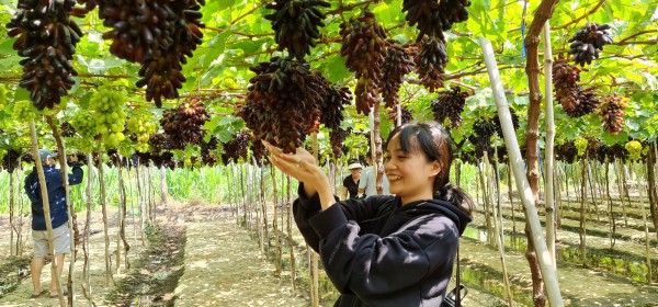 Ninh Thuận: Thi Hoa hậu Doanh nhân toàn năng trong tuần văn hóa, thể thao, du lịch Ninh Thuận: Thi Hoa hậu Doanh nhân toàn năng trong tuần văn hóa, thể thao, du lịch