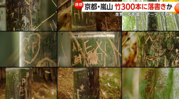 Rừng tre nổi tiếng Nhật Bản bị khắc chữ chi chít, có cả tiếng Việt