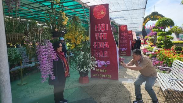 Tết này, Đà Lạt Tết này, Đà Lạt
