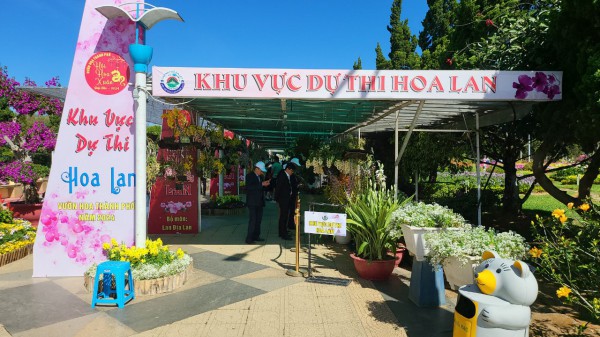 Tết này, Đà Lạt Tết này, Đà Lạt
