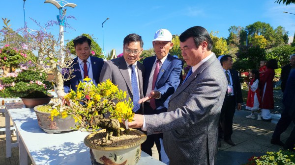 Tết này, Đà Lạt Tết này, Đà Lạt