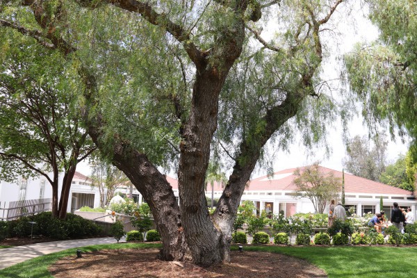 Thăm Bảo tàng Nixon ở California: Cách người Mỹ kể câu chuyện chiến tranh Việt Nam