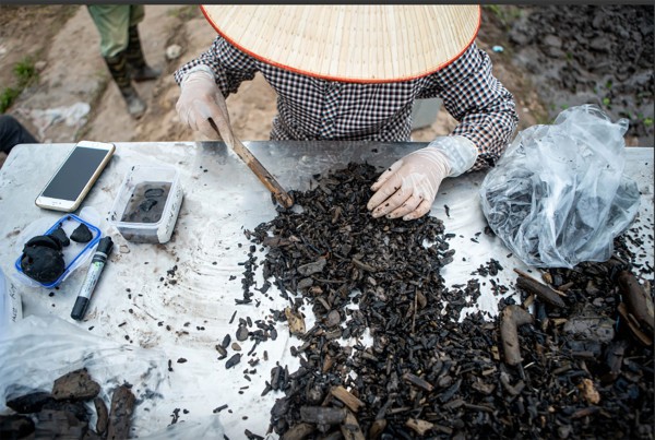 Thuyền cổ ở Bắc Ninh có cơ hội thành di sản thế giới UNESCO Thuyền cổ ở Bắc Ninh có cơ hội thành di sản thế giới UNESCO