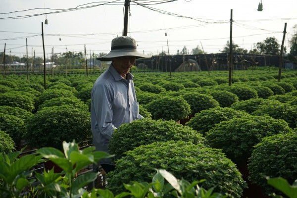 Từ nghề thuần nông đến di sản quốc gia