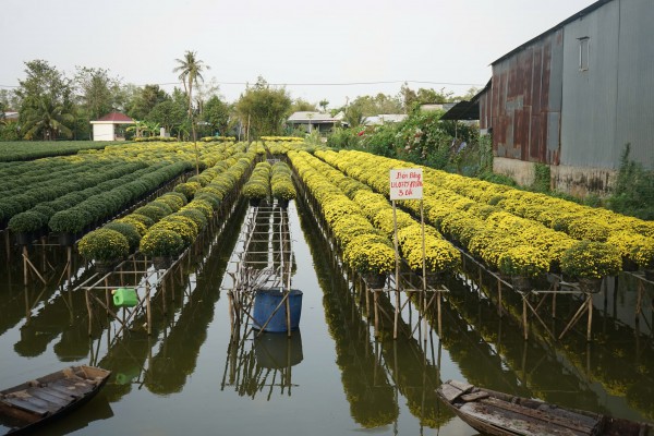 Từ nghề thuần nông đến di sản quốc gia