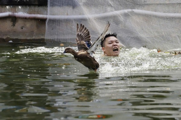 Tử vong vì trò chơi ở hội làng: dựng rào kỹ thuật hay cấm?