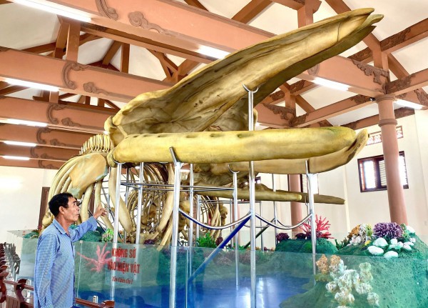 Vật thiêng của làng: Hai bộ xương ‘thần Nam Hải’ trên đảo Lý Sơn