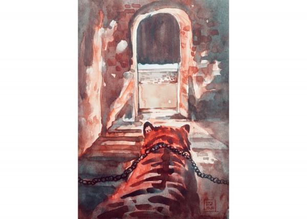 Vì sao triều Nguyễn cho 40 con voi tử chiến 18 con hổ?