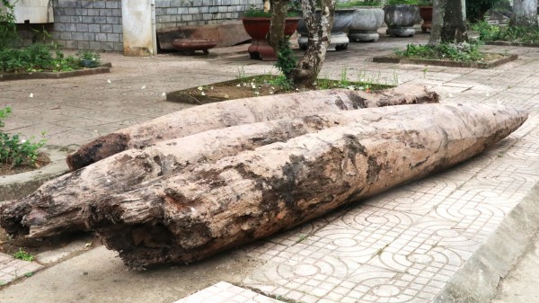 Xác định niên đại 3 cọc gỗ phát hiện dưới sông Vân