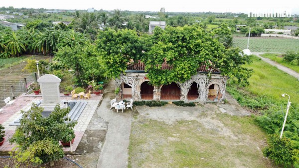 Độc đáo đình cổ được 