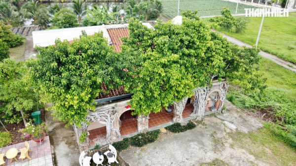 Độc đáo đình cổ được 