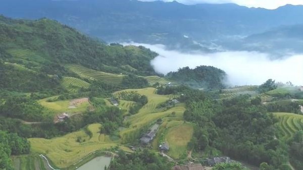 Món quà của rừng