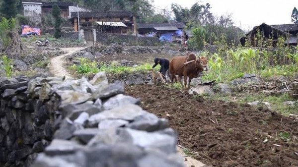 Hương sắc vùng cao