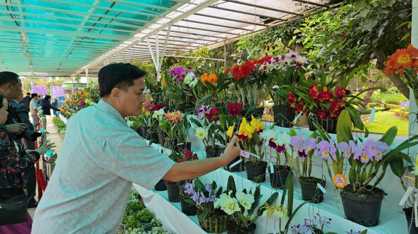 Festival Hoa Đà Lạt 2024: Mãn nhãn với hàng ngàn tác phẩm hoa, cây kiểng... Festival Hoa Đà Lạt 2024: Mãn nhãn với hàng ngàn tác phẩm hoa, cây kiểng...