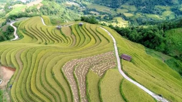 Bức tranh đa sắc Hoàng Su Phì