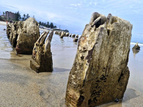 Khẩn cấp khai quật tàu cổ phát lộ ở bờ biển Hội An