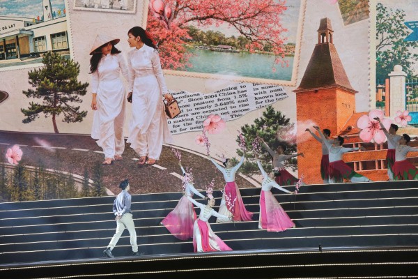 Mai anh đào Đà Lạt rực rỡ sắc xuân trong đêm khai hội