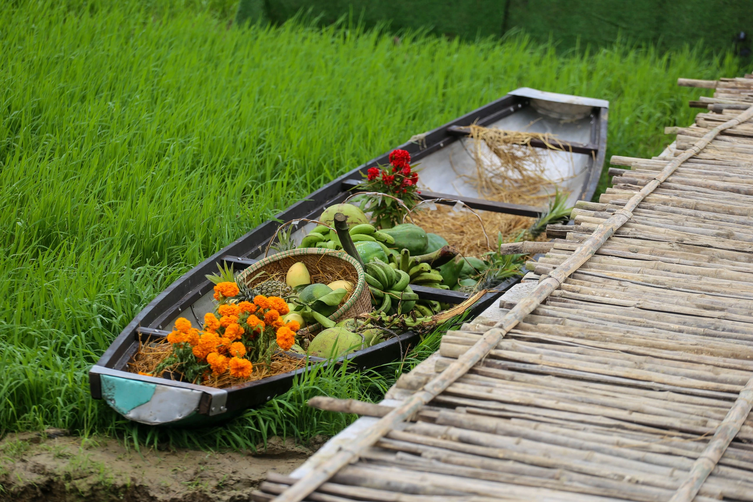 Ngôi làng có gần 5 thế kỷ làm bún ở Huế đón tin vui