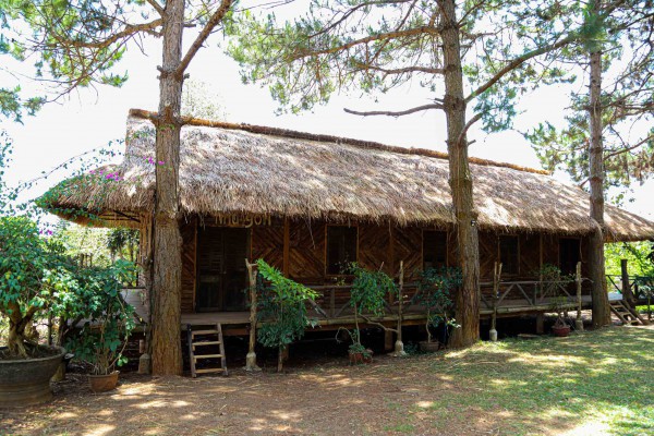 Nhà thờ Ka Đơn - khi kiến trúc thánh ‘lắng nghe’ tiếng nói của núi rừng