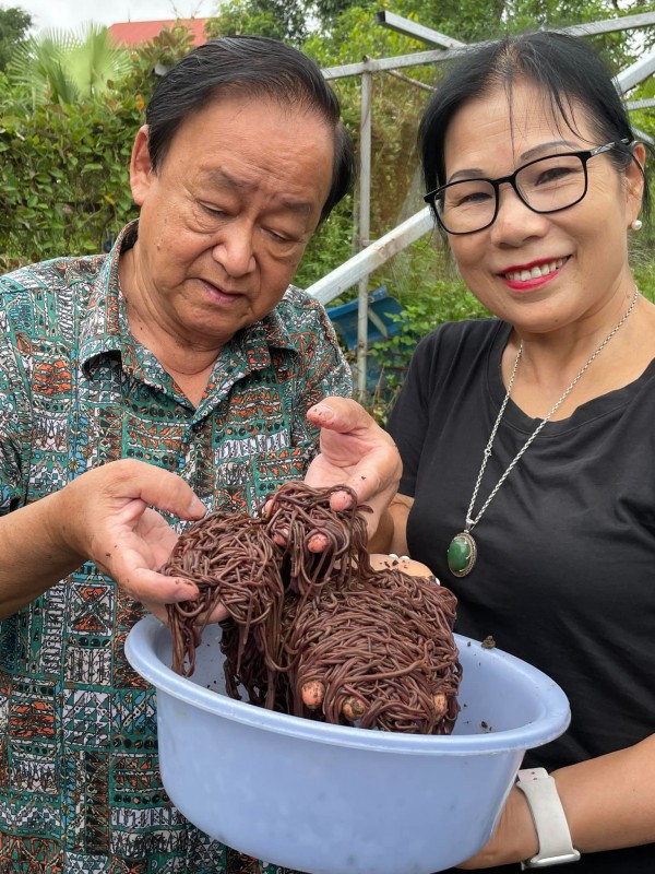 Nữ cựu chiến binh làm giàu từ giun quế