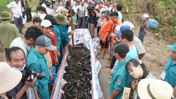 Rộn ràng bơi xuồng ba lá, đi cầu khỉ giữa rừng nguyên sinh Cà Mau Rộn ràng bơi xuồng ba lá, đi cầu khỉ giữa rừng nguyên sinh Cà Mau