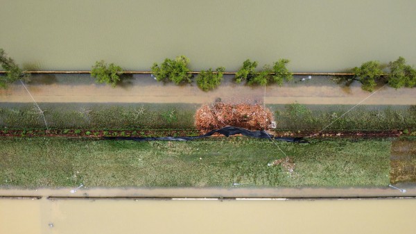 Sập tường trong Hoàng thành Huế: Bộ VH-TT-DL yêu cầu rà soát, ưu tiên khắc phục