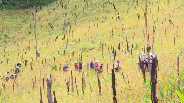 Tết mùa của người Bhnong