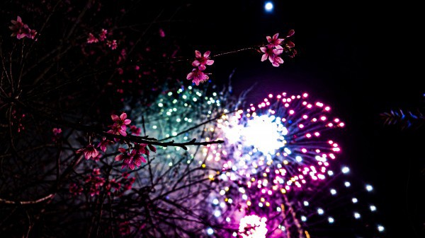 Tết Nguyên đán Bính Ngọ 2026: Quảng Ngãi bắn pháo hoa tại 2 địa điểm nào?