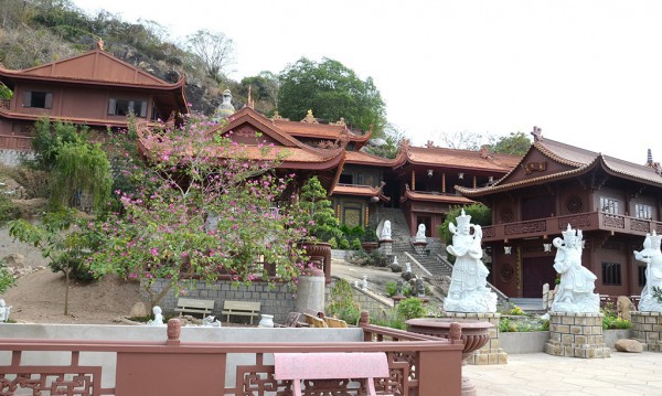 Thất Sơn huyền bí: Chùa Hang và câu chuyện ngôi nhà rắn Thất Sơn huyền bí: Chùa Hang và câu chuyện ngôi nhà rắn