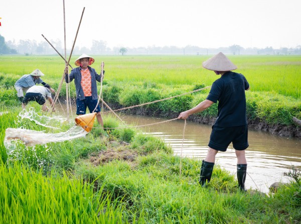 Trung Ruồi, Duy Hưng, Thái Hòa, Neko Lê làm nông dân, dạy con về lòng biết ơn Trung Ruồi, Duy Hưng, Thái Hòa, Neko Lê làm nông dân, dạy con về lòng biết ơn