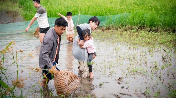 Trung Ruồi, Duy Hưng, Thái Hòa, Neko Lê làm nông dân, dạy con về lòng biết ơn Trung Ruồi, Duy Hưng, Thái Hòa, Neko Lê làm nông dân, dạy con về lòng biết ơn