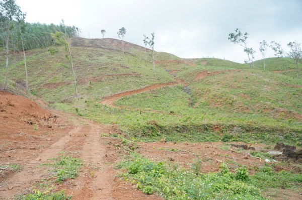 Truông Mây lưu dấu cuộc khởi nghĩa Chàng Lía