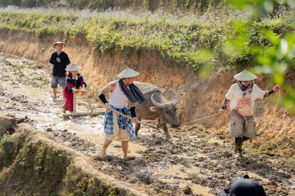 Truyền hình thực tế, nhìn từ hiện tượng Gia đình Haha Truyền hình thực tế, nhìn từ hiện tượng Gia đình Haha