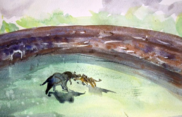 Vì sao triều Nguyễn cho 40 con voi tử chiến 18 con hổ?