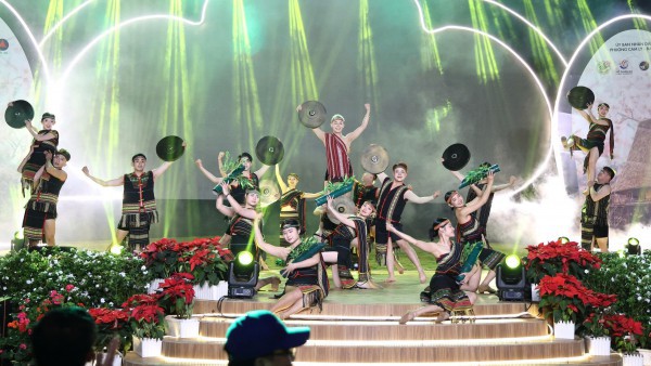 ”Âm vang sắc hồng trên phố núi” Đà Lạt cuốn hút du khách