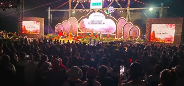 ”Âm vang sắc hồng trên phố núi” Đà Lạt cuốn hút du khách